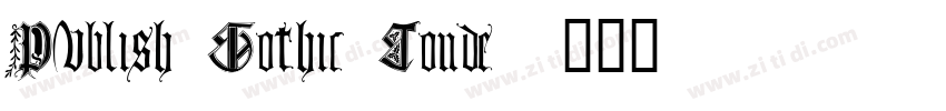 Publish Gothic Conde字体转换